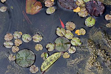 《守望先锋：归来》饰品比现实更贵 谁买就是大冤种